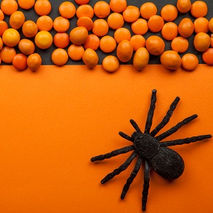 Gummy Spiders