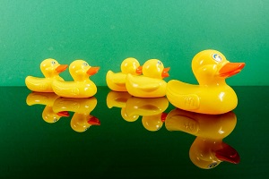 Quack Jellies