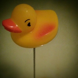 Quack Pops