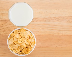 Yogurt Chips